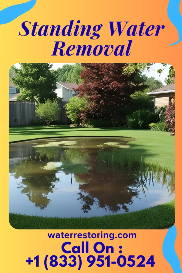 Standing Water Removal in Kiryas Joel, NY